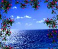 /album/photo-gallery-book-skrik-elsker-deg/a11133846-835477383166170-4664299386254808928-n-jpg/