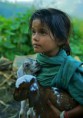 /album/photo-gallery-book-skrik-elsker-deg/child4-jpg/